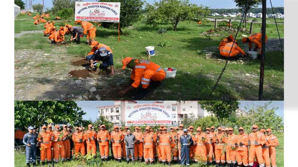 Picsart_25-07-13_10-01-37-714-compressed