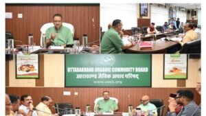 Picsart_25-08-27_21-11-57-293-compressed