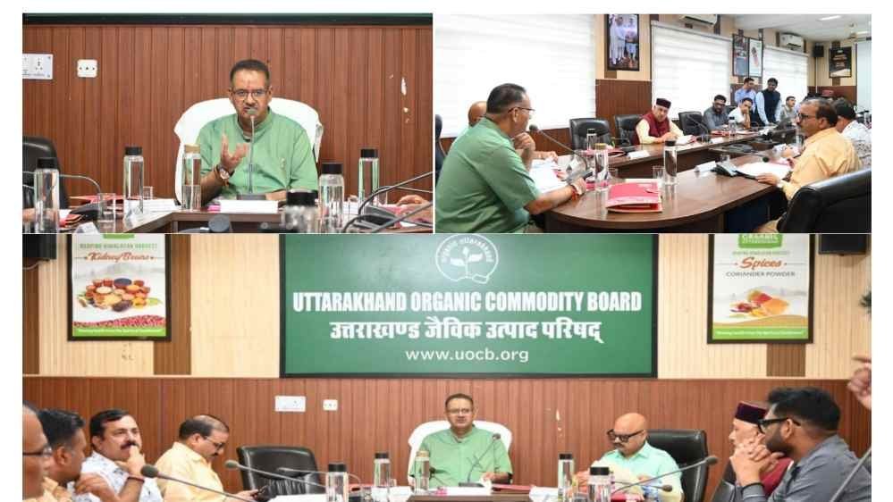 Picsart_25-08-27_21-11-57-293-compressed