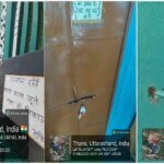 बिना अनुमति संचालित मस्जिद-मदरसा भवन पर एमडीडीए का शिकंजा; नोटिस, सुनवाई और मोहलत के बाद हुई कार्रवाई, अवैध निर्माण को किया गया सील – HNM