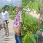 सीएम धामी के विजन को धरातल पर उतार रहा एमडीडीए, सिटी फॉरेस्ट के बाद मियांवाला में एक और पर्यावरणीय तोहफा – HNM